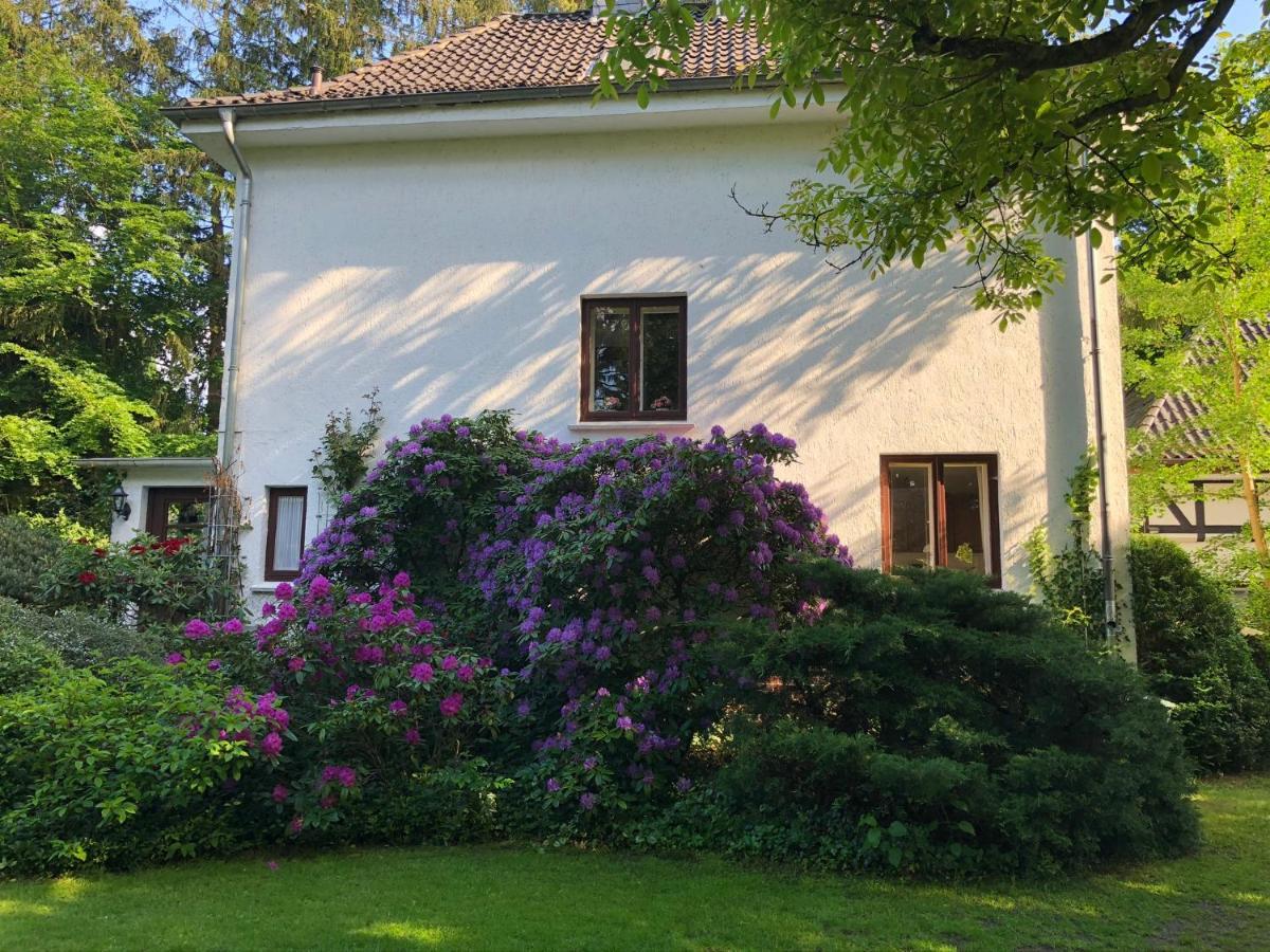 Ferienhaus Hudemuehlen Keine Monteure Hodenhagen Buitenkant foto