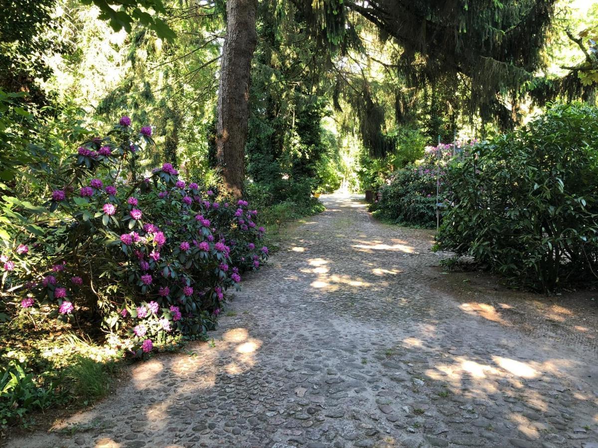 Ferienhaus Hudemuehlen Keine Monteure Hodenhagen Buitenkant foto