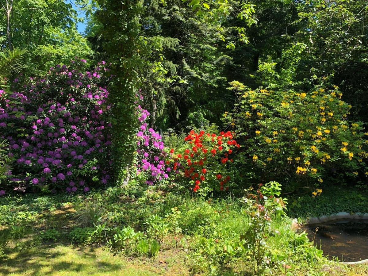 Ferienhaus Hudemuehlen Keine Monteure Hodenhagen Buitenkant foto
